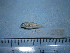  ( - NEC-0245)  @11 [ ] Unspecified (default): All Rights Reserved  Unspecified Unspecified