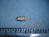  ( - NEC-0246)  @12 [ ] Unspecified (default): All Rights Reserved  Unspecified Unspecified