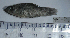  ( - NEC-054)  @13 [ ] Unspecified (default): All Rights Reserved  Unspecified Unspecified
