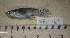  ( - NEC-064)  @13 [ ] Unspecified (default): All Rights Reserved  Unspecified Unspecified