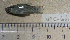  ( - NEC-066)  @13 [ ] Unspecified (default): All Rights Reserved  Unspecified Unspecified