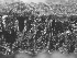  ( - GAB010)  @11 [ ] Copyright (2016) Hannah Soukup University of Oregon, Museum of Natural and Cultural History