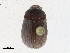  ( - CBG-A21661-A01)  @11 [ ] CreativeCommons - Attribution Share-Alike (2023) CBG Photography Group Centre for Biodiversity Genomics