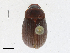  ( - CBG-A21661-A04)  @11 [ ] CreativeCommons - Attribution Share-Alike (2023) CBG Photography Group Centre for Biodiversity Genomics
