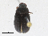  ( - CBG-A21662-D07)  @11 [ ] CreativeCommons - Attribution Share-Alike (2023) CBG Photography Group Centre for Biodiversity Genomics