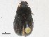  ( - CBG-A21663-D11)  @11 [ ] CreativeCommons - Attribution Share-Alike (2023) CBG Photography Group Centre for Biodiversity Genomics
