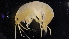  ( - GALP017)  @13 [ ] Copyright (2014) Roman Alther Eawag, Swiss Federal Institute of Aquatic Science and Technology, 8600 Dübendorf, Switzerland