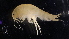  ( - GALP018)  @13 [ ] Copyright (2014) Roman Alther Eawag, Swiss Federal Institute of Aquatic Science and Technology, 8600 Dübendorf, Switzerland
