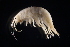  ( - GALP021)  @13 [ ] Copyright (2014) Roman Alther Eawag, Swiss Federal Institute of Aquatic Science and Technology, 8600 Dübendorf, Switzerland