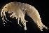  ( - GALP022)  @13 [ ] Copyright (2014) Roman Alther Eawag, Swiss Federal Institute of Aquatic Science and Technology, 8600 Dübendorf, Switzerland