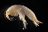  ( - GALP023)  @13 [ ] Copyright (2014) Roman Alther Eawag, Swiss Federal Institute of Aquatic Science and Technology, 8600 Dübendorf, Switzerland