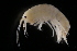  ( - GALP026)  @13 [ ] Copyright (2014) Roman Alther Eawag, Swiss Federal Institute of Aquatic Science and Technology, 8600 Dübendorf, Switzerland
