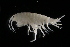  ( - GALP032)  @13 [ ] Copyright (2014) Roman Alther Eawag, Swiss Federal Institute of Aquatic Science and Technology, 8600 Dübendorf, Switzerland