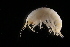  ( - GALP033)  @13 [ ] Copyright (2014) Roman Alther Eawag, Swiss Federal Institute of Aquatic Science and Technology, 8600 Dübendorf, Switzerland