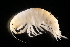  ( - GALP035)  @13 [ ] Copyright (2014) Roman Alther Eawag, Swiss Federal Institute of Aquatic Science and Technology, 8600 Dübendorf, Switzerland