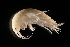  ( - GALP042)  @14 [ ] Copyright (2014) Roman Alther Eawag, Swiss Federal Institute of Aquatic Science and Technology, 8600 Dübendorf, Switzerland