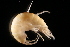  ( - GALP044)  @14 [ ] Copyright (2014) Roman Alther Eawag, Swiss Federal Institute of Aquatic Science and Technology, 8600 Dübendorf, Switzerland
