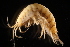  ( - GALP065)  @13 [ ] Copyright (2014) Roman Alther Eawag, Swiss Federal Institute of Aquatic Science and Technology, 8600 Dübendorf, Switzerland
