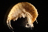  ( - GALP066)  @13 [ ] Copyright (2014) Roman Alther Eawag, Swiss Federal Institute of Aquatic Science and Technology, 8600 Dübendorf, Switzerland