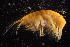  ( - GALP082)  @13 [ ] Copyright (2014) Roman Alther Eawag, Swiss Federal Institute of Aquatic Science and Technology, 8600 Dübendorf, Switzerland