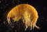  ( - GALP084)  @13 [ ] Copyright (2014) Roman Alther Eawag, Swiss Federal Institute of Aquatic Science and Technology, 8600 Dübendorf, Switzerland
