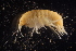  ( - GALP085)  @13 [ ] Copyright (2014) Roman Alther Eawag, Swiss Federal Institute of Aquatic Science and Technology, 8600 Dübendorf, Switzerland