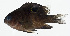  ( - GAM-140)  @11 [ ] CreativeCommons  Attribution Non-Commercial (by-nc) (2010) Unspecified Smithsonian Institution National Museum of Natural History