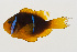  ( - GAM-859)  @11 [ ] CreativeCommons  Attribution Non-Commercial (by-nc) (2010) Unspecified Smithsonian Institution National Museum of Natural History