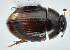  ( - MF1256_1)  @13 [ ] CreativeCommons - Attribution Non-Commercial Share-Alike (2017) Unspecified National Museum, Prague