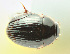  ( - MF1265)  @12 [ ] CreativeCommons - Attribution Non-Commercial Share-Alike (2017) Unspecified National Museum, Prague