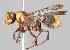  ( - ICIPEB14)  @12 [ ] No Rights Reserved (2018) Unspecified University of Split