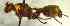  ( - VA388)  @13 [ ] No Rights Reserved (2018) Unspecified University of Split