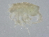  ( - BIOUG44043-B04)  @11 [ ] CreativeCommons - Attribution (2021) CBG Photography Group Centre for Biodiversity Genomics