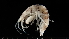  ( - HF23_01_05)  @11 [ ] Unspecified (default): All Rights Reserved  Unspecified Unspecified