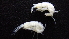  ( - HF23_06_02)  @11 [ ] Unspecified (default): All Rights Reserved  Unspecified Unspecified