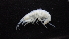  ( - HF23_08_02)  @11 [ ] Unspecified (default): All Rights Reserved  Unspecified Unspecified