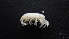 ( - HF23_10_03)  @11 [ ] Unspecified (default): All Rights Reserved  Unspecified Unspecified