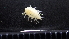  ( - HF23_12_05)  @11 [ ] Unspecified (default): All Rights Reserved  Unspecified Unspecified