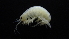  ( - HF23_13_02)  @11 [ ] Unspecified (default): All Rights Reserved  Unspecified Unspecified