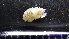 ( - HF23_19_02)  @11 [ ] Unspecified (default): All Rights Reserved  Unspecified Unspecified