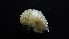  ( - HF23_19_03)  @11 [ ] Unspecified (default): All Rights Reserved  Unspecified Unspecified