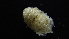  ( - HF23_19_05)  @11 [ ] Unspecified (default): All Rights Reserved  Unspecified Unspecified