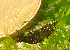  ( - CCDB-36354 E02)  @11 [ ] Unspecified (default): All Rights Reserved (2020) Peter J. Bryant University of California, Irvine