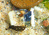  ( - CCDB-36354 E03)  @11 [ ] Unspecified (default): All Rights Reserved (2020) Peter J. Bryant University of California, Irvine