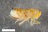  ( - ZFMK-TIS-2592857)  @11 [ ] CreativeCommons  Attribution Share-Alike (by-sa) 818 (2018) Unspecified Zoologisches Forschungsmuseum Alexander Koenig