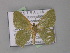  ( - BC ZSM Lep 01445)  @13 [ ] CreativeCommons - Attribution Non-Commercial Share-Alike (2010) Unspecified SNSB, Zoologische Staatssammlung Muenchen