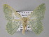  ( - BC ZSM Lep 01470)  @13 [ ] CreativeCommons - Attribution Non-Commercial Share-Alike (2010) Unspecified SNSB, Zoologische Staatssammlung Muenchen