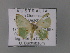  ( - BC ZSM Lep 01894)  @12 [ ] CreativeCommons - Attribution Non-Commercial Share-Alike (2010) Unspecified SNSB, Zoologische Staatssammlung Muenchen