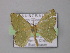  ( - BC ZSM Lep 02545)  @13 [ ] CreativeCommons - Attribution Non-Commercial Share-Alike (2010) Unspecified SNSB, Zoologische Staatssammlung Muenchen