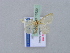  ( - BC ZSM Lep 10920)  @13 [ ] CreativeCommons - Attribution Non-Commercial Share-Alike (2010) Unspecified SNSB, Zoologische Staatssammlung Muenchen